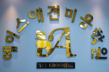 에이스애견미용학원