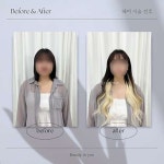 뉴문 붙임머리 | 뷰티뉴 붙임머리