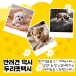 두리펫택시
