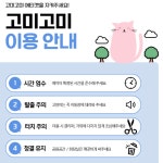 고양이무마취미용 고미고미 화명점