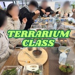 주주트리