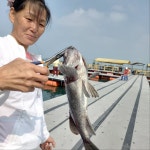 무기수산 자연산 좌대낚시