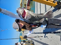 무기수산 자연산 좌대낚시