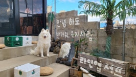 또똣쉼팡 제주