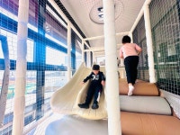 더블레싱23