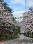 오늘리버독채펜션
