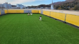 애견유치원&애견호텔 도그프리