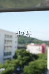 올레스테이