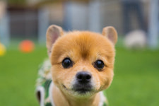 프렌즈키즈풀빌라