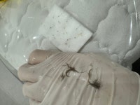 고우다 미장원 | 고우다에스테틱 대구동성로점