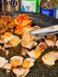 서산꿀돼지