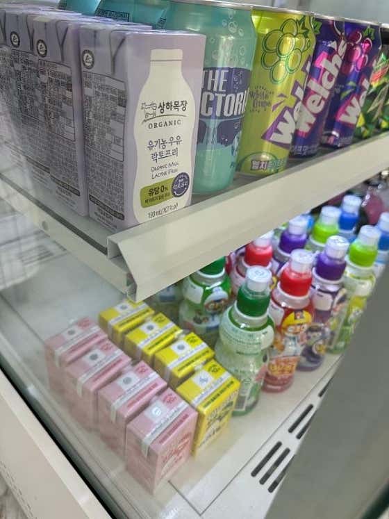 나나붕 사진