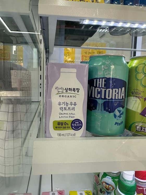 나나붕 사진