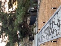 엘포레 경주