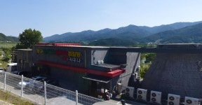 살루드볼