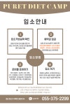 퓨어트 다이어트캠프