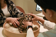 일산클래식동물병원