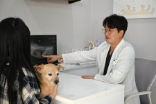 일산클래식동물병원