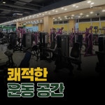 허니짐