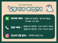 부산고양이미용 달봉이네 명지점