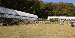 독클래스 유사리캠퍼스