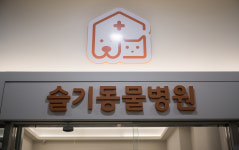 청량리슬기동물병원