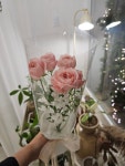 핀코너