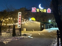 달빛아래숲