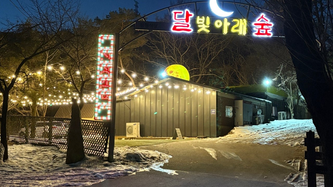 달빛아래숲