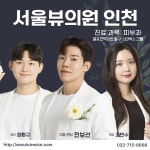 인천 서울뷰의원