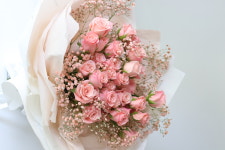 가든인설