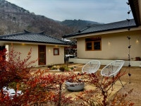 스테이더담 도율점