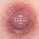 바이뮬리 브로우돌 홍대점