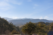 솔올펜션