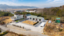 독채애견스테이