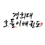 경희대호돌이태권도장