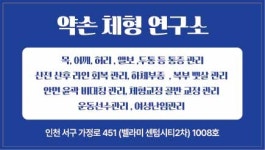 약손체형연구소 마사지