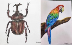 드리몽아뜰리에 미술학원