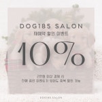 도그185 애견미용실