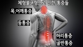 최찬영 수기마사지 체형미연구소