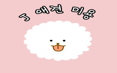 J애견미용