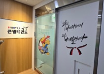 큰별태비태권도