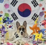 뚜드림 애견유치원 월배점