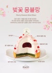 한스 인계점