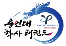 용인대학사태권도