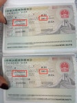 세종여행사