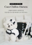 펫츠앤미
