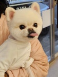 빠몽펫살롱