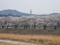 소후리 갈비