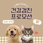 24시 황금동물의료센터